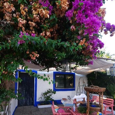 Casa Con Sierra Y Con Portugal Villa Rosal de la Frontera Екстериор снимка