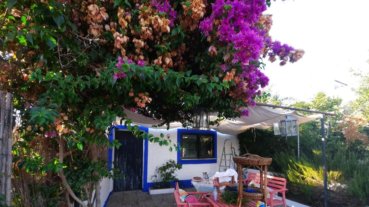 Casa Con Sierra Y Con Portugal Villa Rosal de la Frontera Екстериор снимка